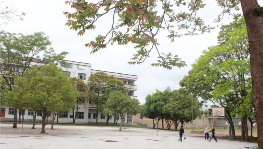 饶平县新丰职业技术学校