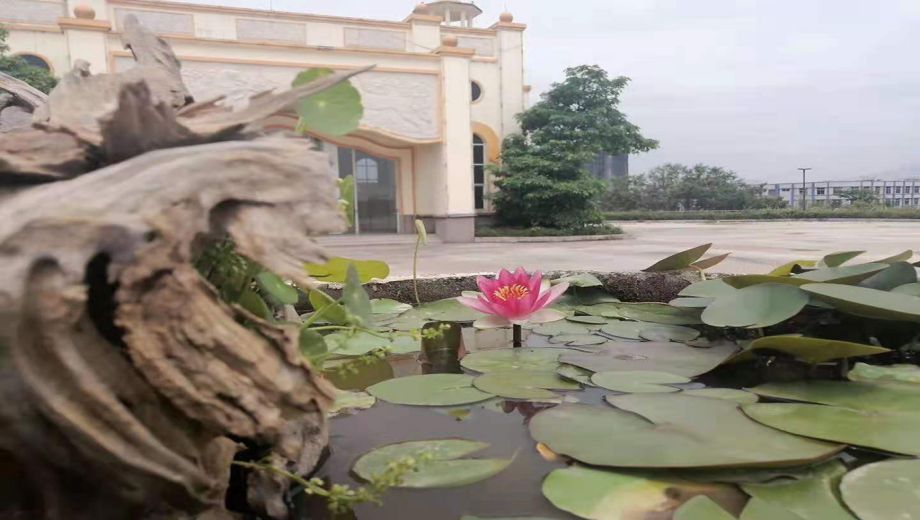 揭阳市金荣技工学校