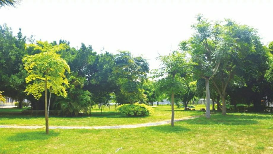 吴川市职业高级中学