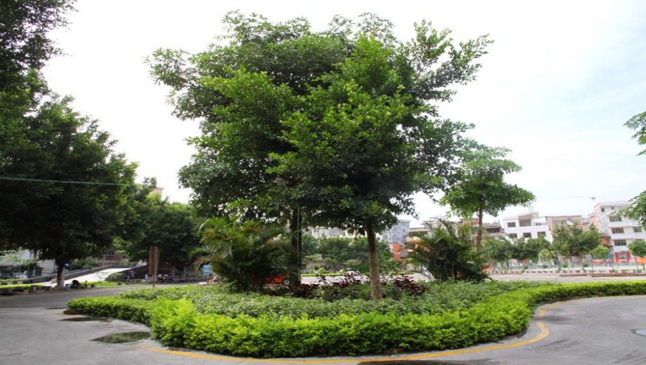 罗定市中等职业技术学校