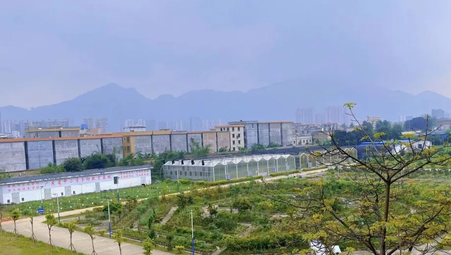 肇庆市农业学校