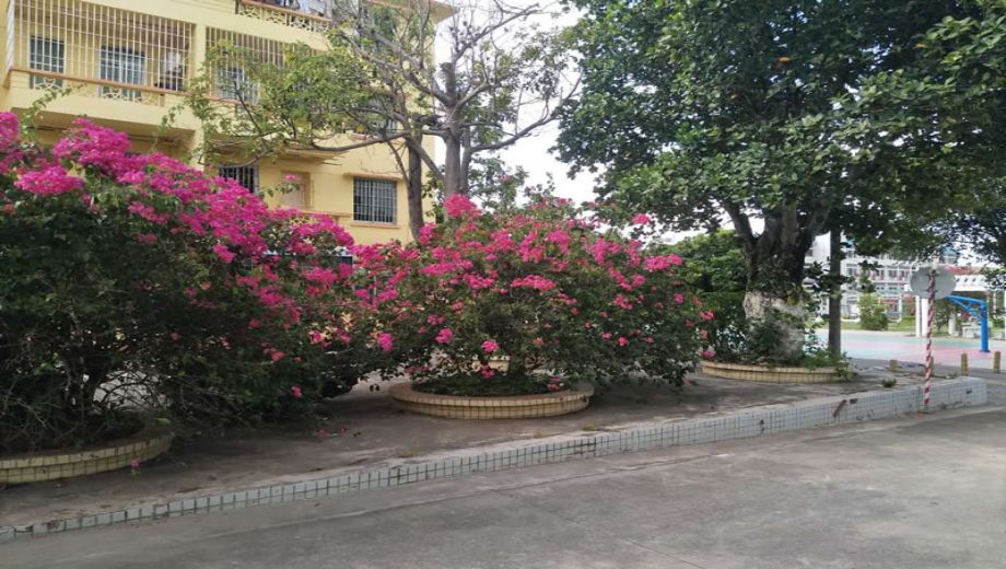 湛江市工商职业技术学校